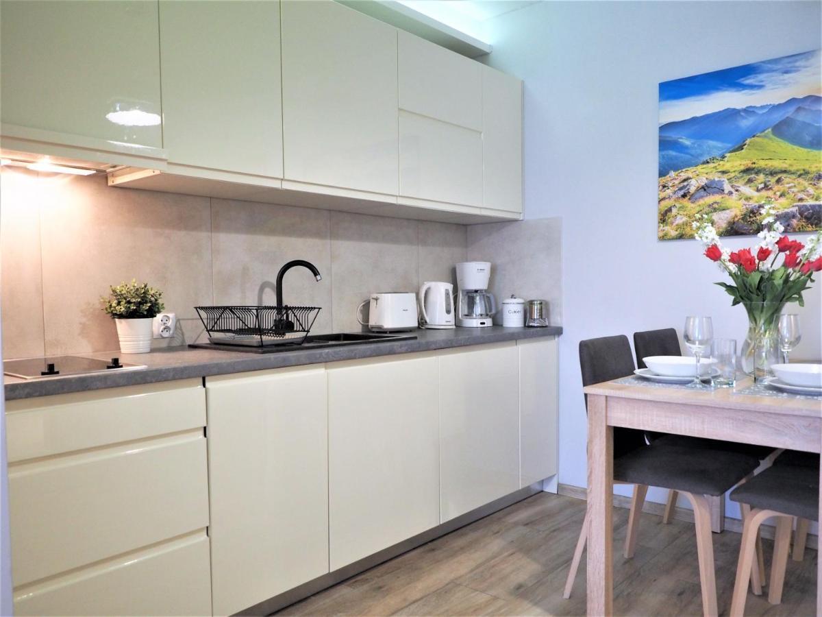 Vip Apartamenty Centrum Закопане Экстерьер фото